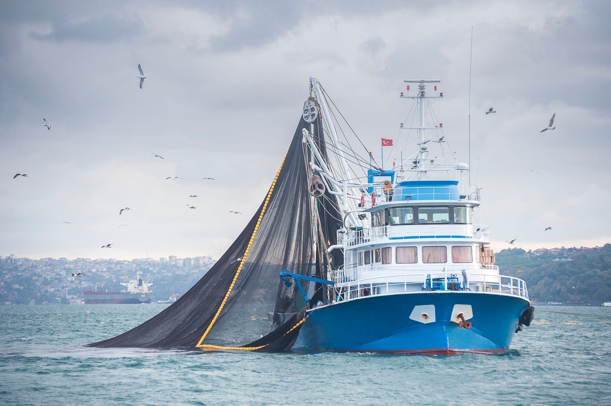 Commercial Fishing Vessels Designed to Operate at Night