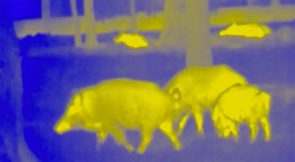 THERMAL NIGHT VISION